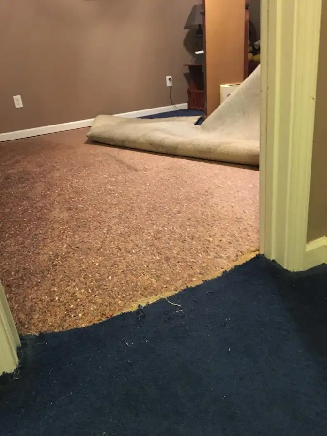 Carpet pad removal revealing water damage during Drying & Dehumidification in Mount Joy
